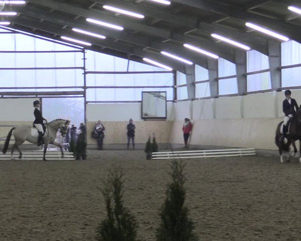 Dressur Late-Entry Datteln 2017