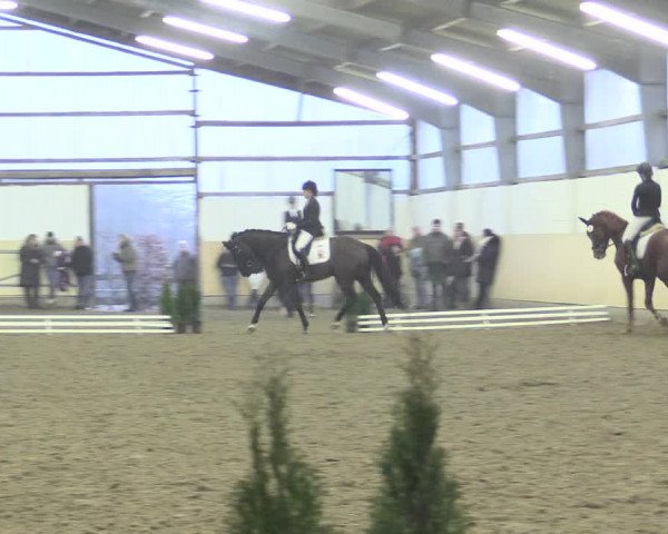 Dressur Late-Entry Datteln 2017