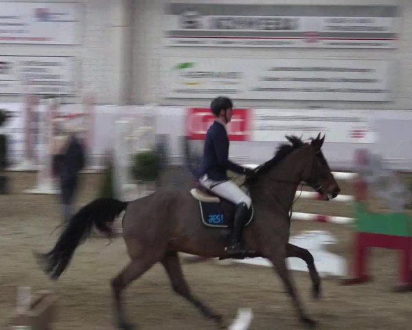 Frühjahrsturnier Borken 2017