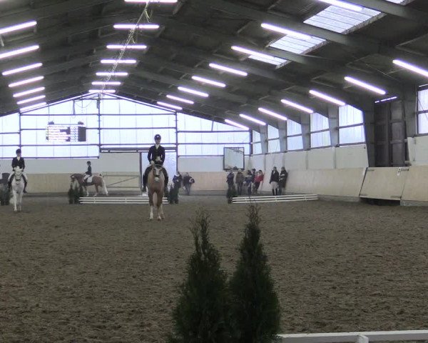 Dressur Late-Entry Datteln 2017