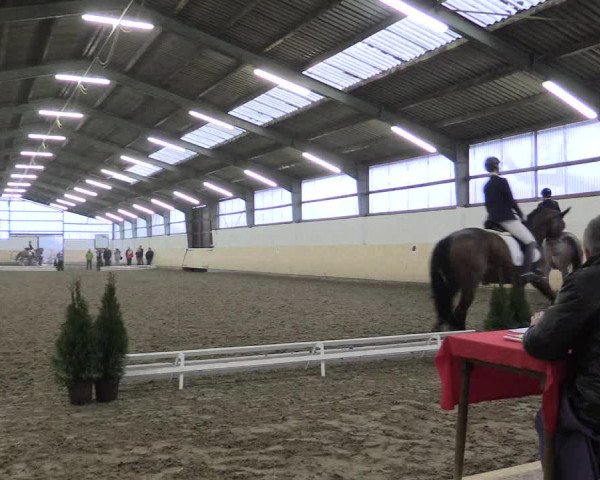 Dressur Late-Entry Datteln 2017