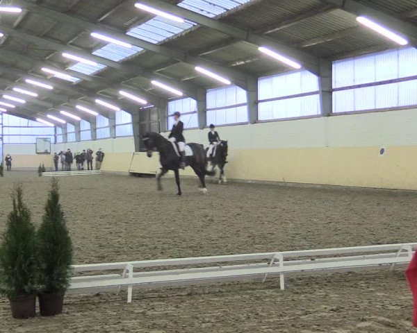 Dressur Late-Entry Datteln 2017
