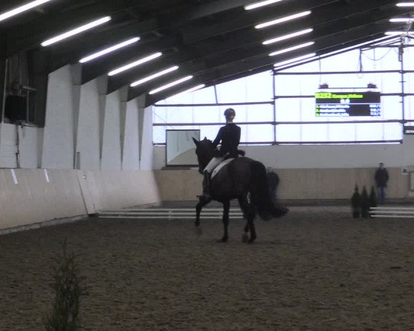 Dressur Late-Entry Datteln 2017