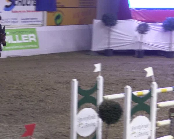Frühjahrsturnier Borken 2017