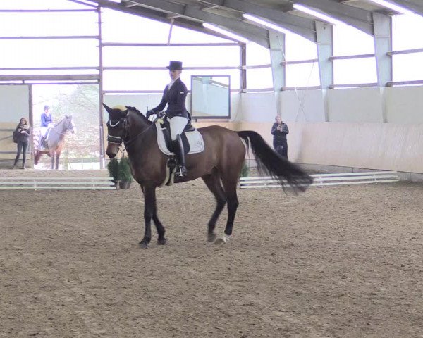 Dressur Late-Entry Datteln 2017