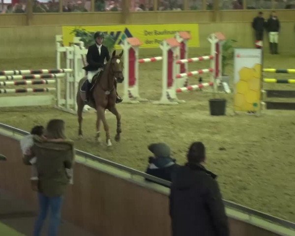 Reitturnier Köln-Leverkusen 2017