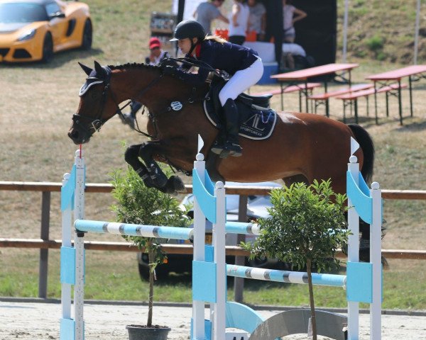 broodmare Lexsana (Zweibrücken, 2009, from Lordano)