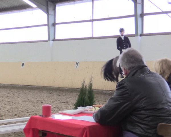 Dressur Late-Entry Datteln 2017