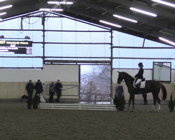 Dressur Late-Entry Datteln 2017