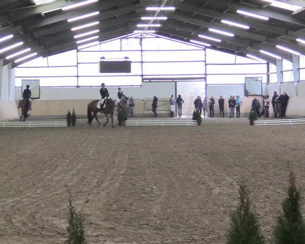 Dressur Late-Entry Datteln 2017