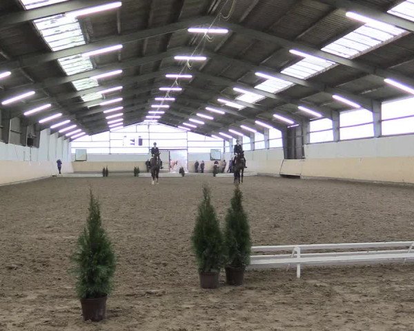Dressur Late-Entry Datteln 2017