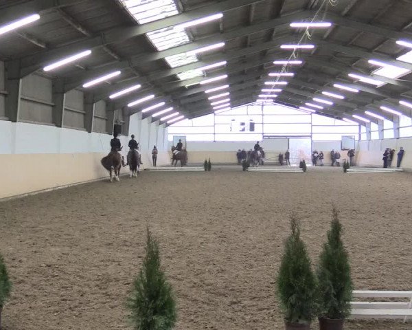 Dressur Late-Entry Datteln 2017
