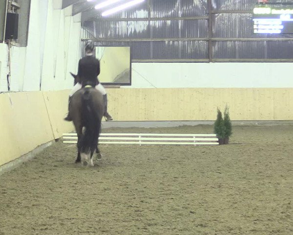 Dressur Late-Entry Datteln 2017