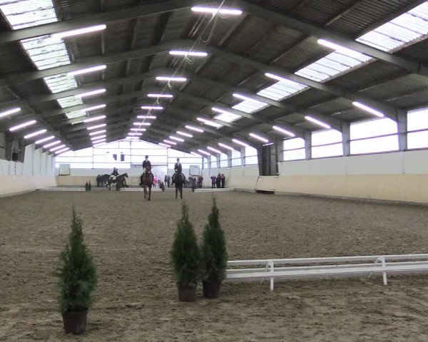 Dressur Late-Entry Datteln 2017