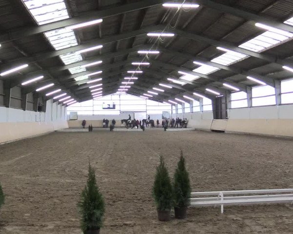 Dressur Late-Entry Datteln 2017
