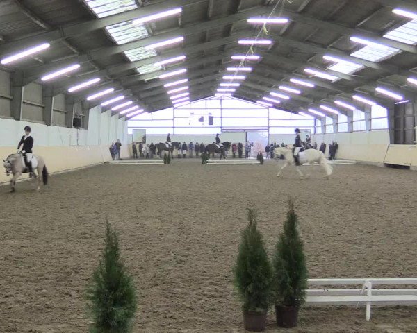 Dressur Late-Entry Datteln 2017