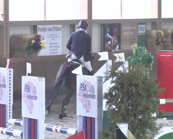 Reitturnier Dettingen 2017 Spring Late Entry