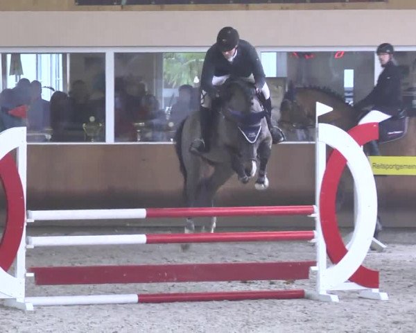 Reitturnier Dettingen 2017 Spring Late Entry