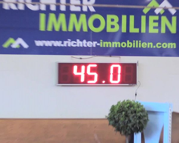 Reitturnier Viernheim 2017