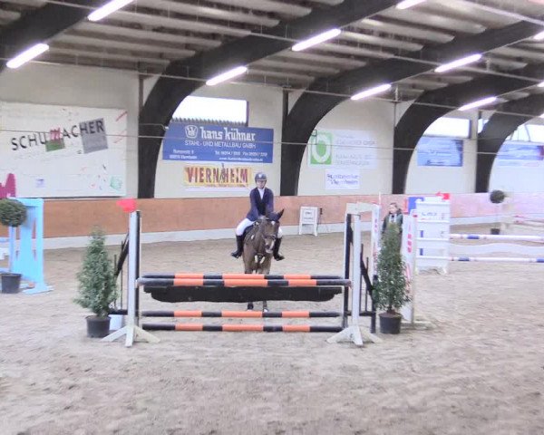 Reitturnier Viernheim 2017