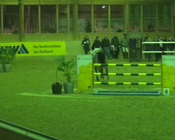 Reitturnier Köln-Leverkusen 2017