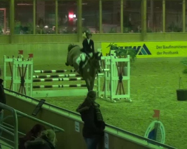 Reitturnier Köln-Leverkusen 2017