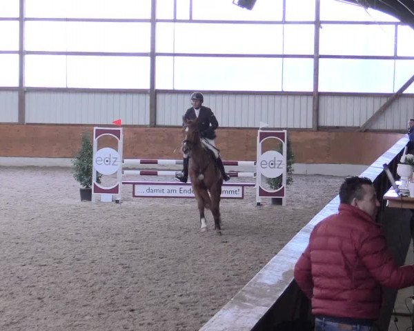 Reitturnier Viernheim 2017