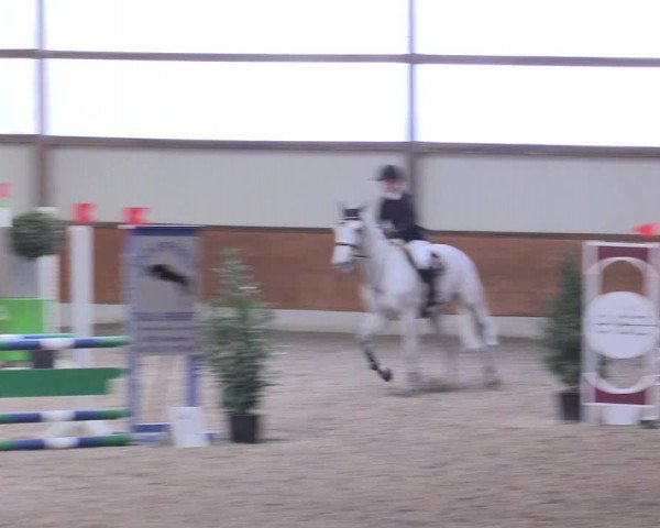 Reitturnier Viernheim 2017