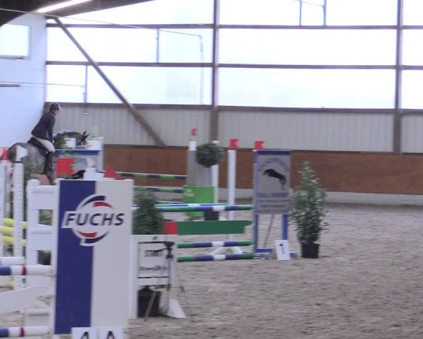 Reitturnier Viernheim 2017