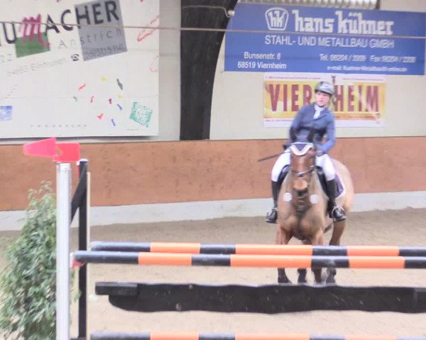 Reitturnier Viernheim 2017