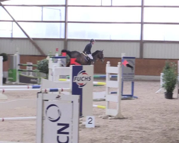 Reitturnier Viernheim 2017