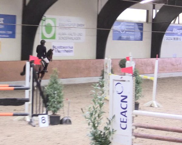 Reitturnier Viernheim 2017