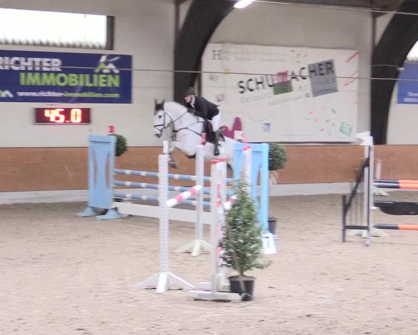 Reitturnier Viernheim 2017