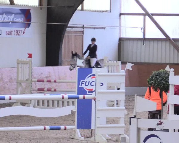 Reitturnier Viernheim 2017