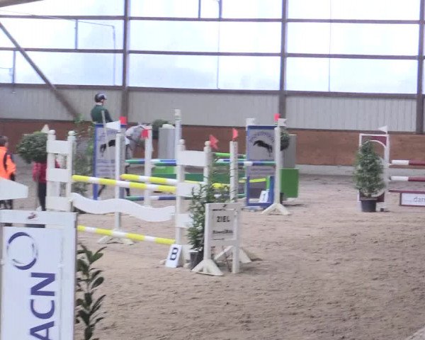 Reitturnier Viernheim 2017