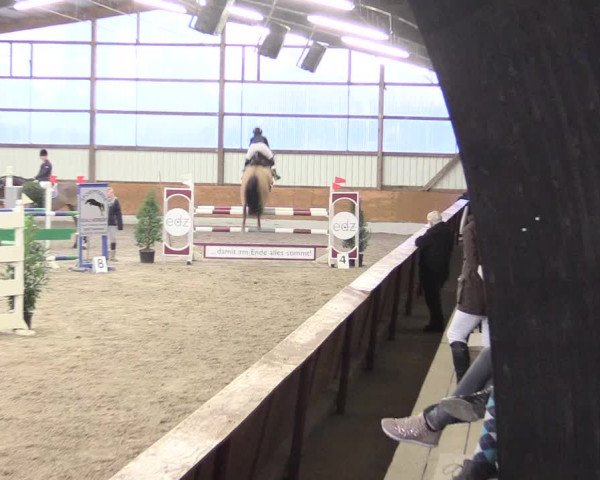 Reitturnier Viernheim 2017