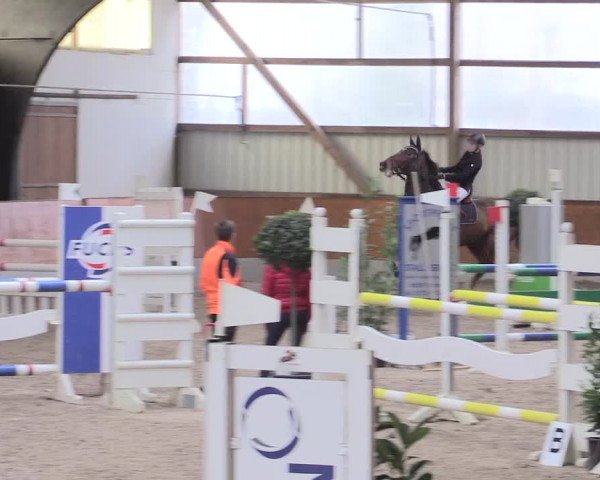 Reitturnier Viernheim 2017