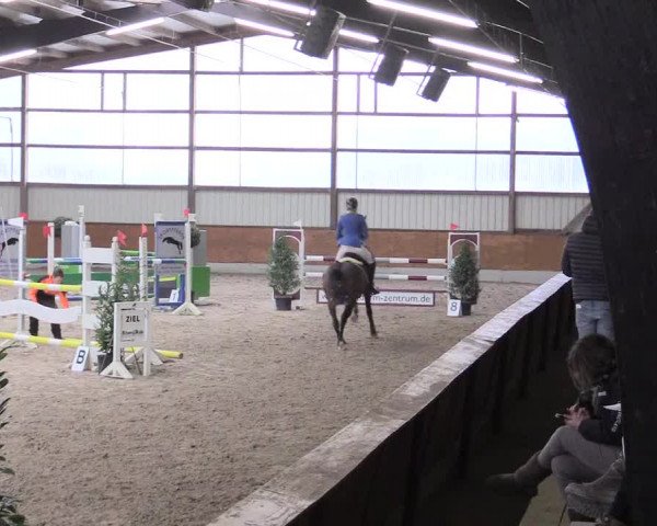 Reitturnier Viernheim 2017
