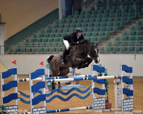 broodmare Cäcilia S (Westphalian, 2006, from Cornet Obolensky)