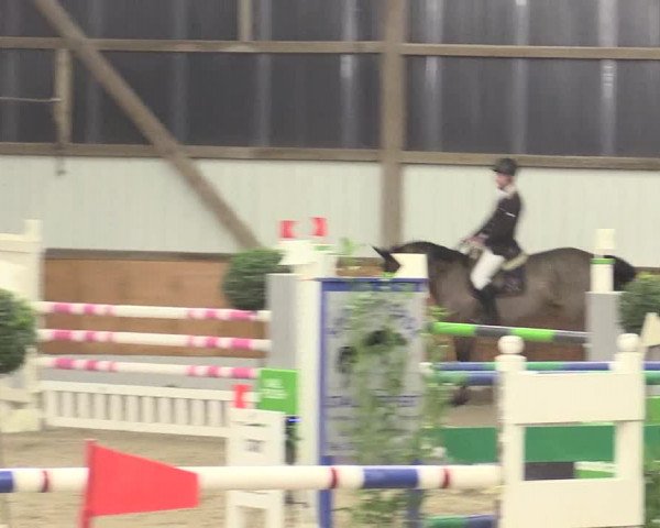 Reitturnier Viernheim 2017