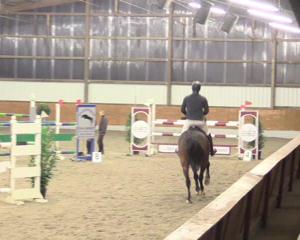 Reitturnier Viernheim 2017