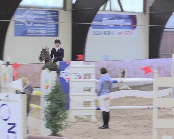 Reitturnier Viernheim 2017