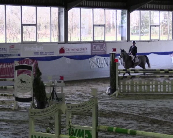 Hallenspringturnier Münster-Albachten 2017