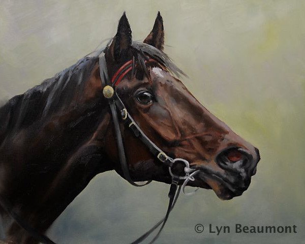 stallion Mazzacano xx (Thoroughbred, 1985, from Alleged xx)