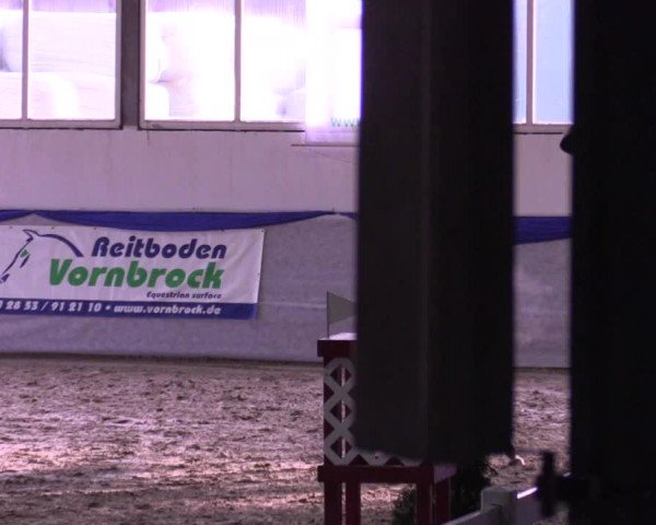 Hallenspringturnier Münster-Albachten 2017
