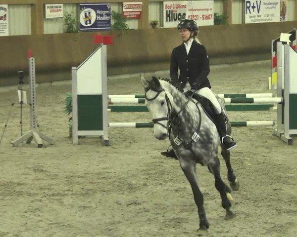 Reitturnier Dettingen 2017
