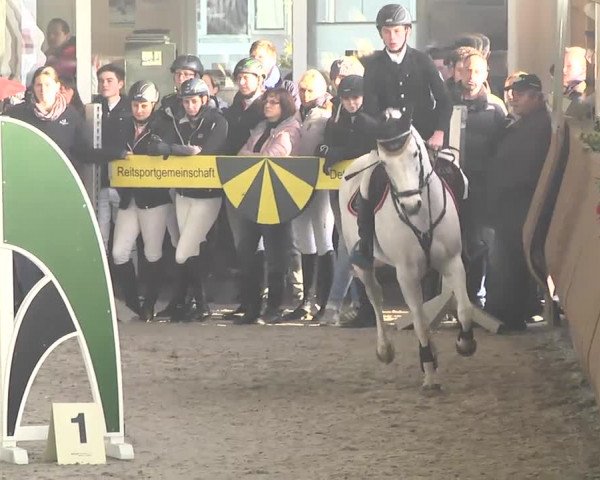 Reitturnier Dettingen 2017