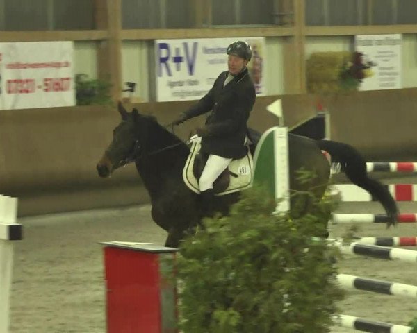 Reitturnier Dettingen 2017