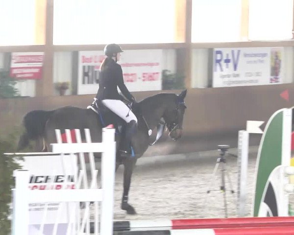 Reitturnier Dettingen 2017