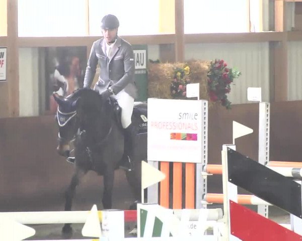 Reitturnier Dettingen 2017